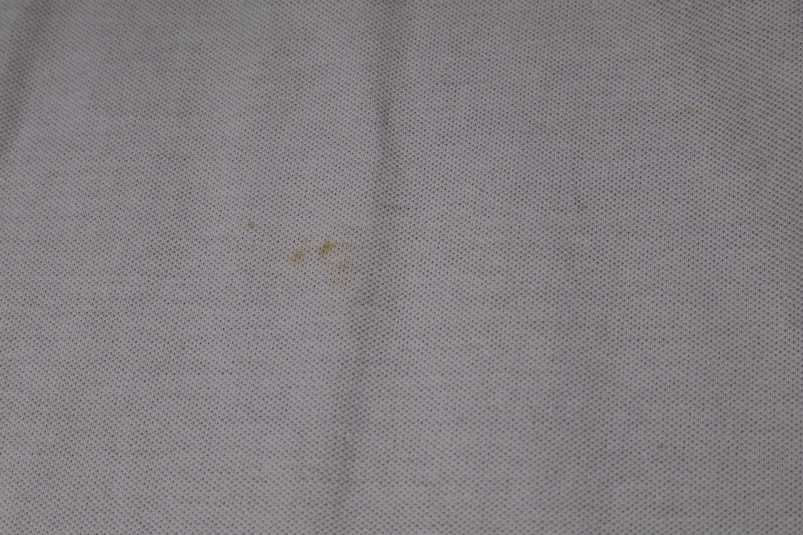 Image #11