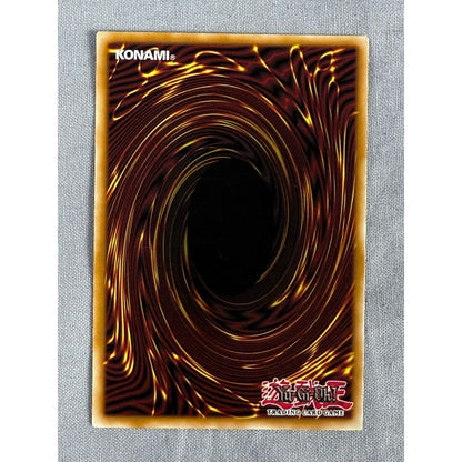 YuGiOh! - Dragoness the Wicked Knight - LOB-086 - Unlimited - Rare