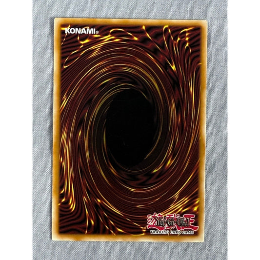 YuGiOh! - Dragoness the Wicked Knight - LOB-086 - Unlimited - Rare