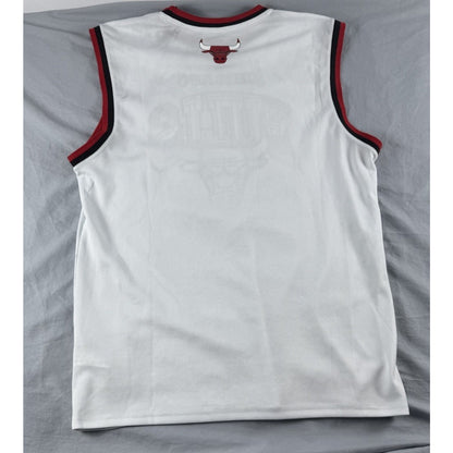 NBA Basketball Chicago Bulls Eastern Conference Champion Jersey Size Large
