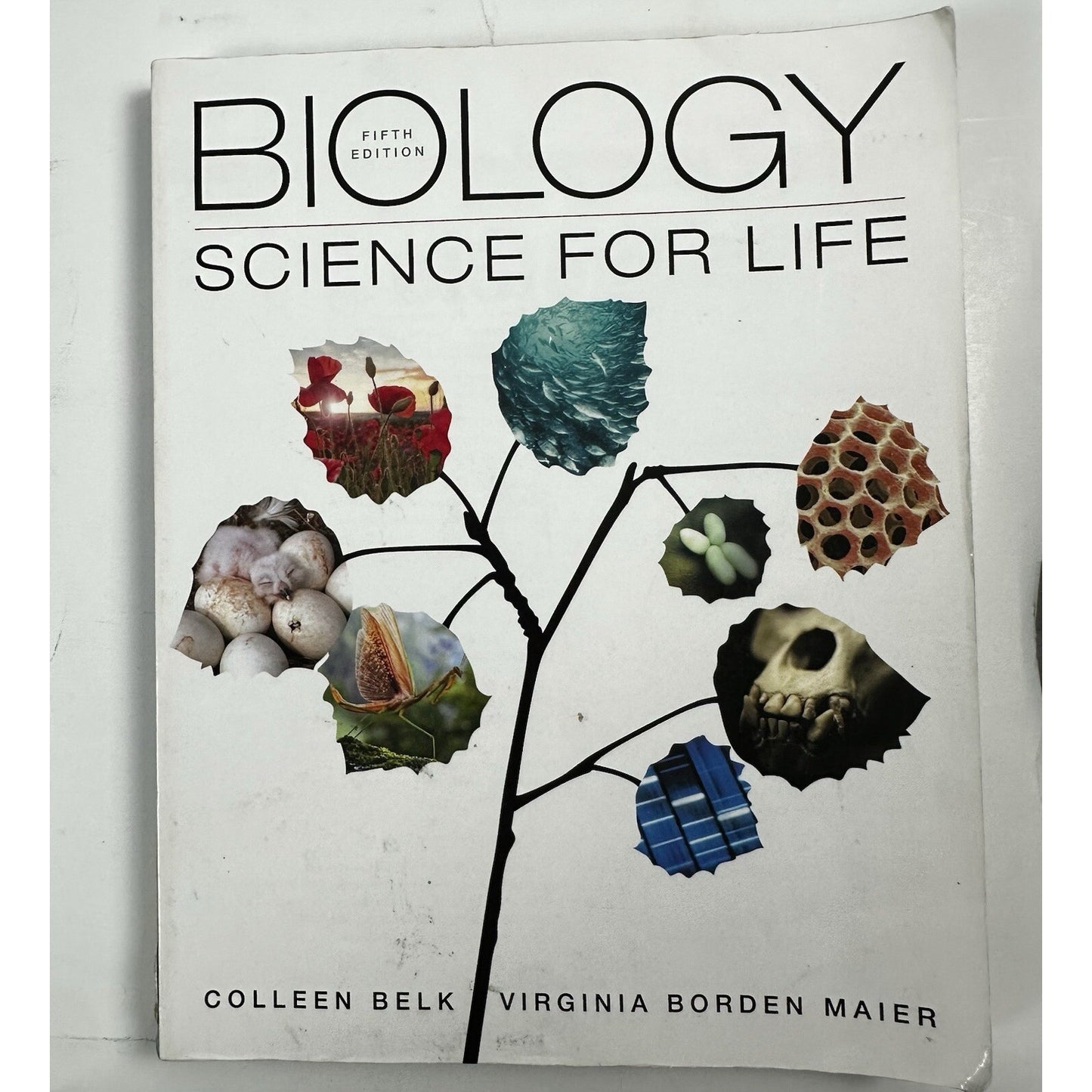 Biology : Science for Life with Physiology by Virginia Maier and Colleen Belk...